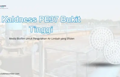 Kaldness PE37 Bukit Tinggi